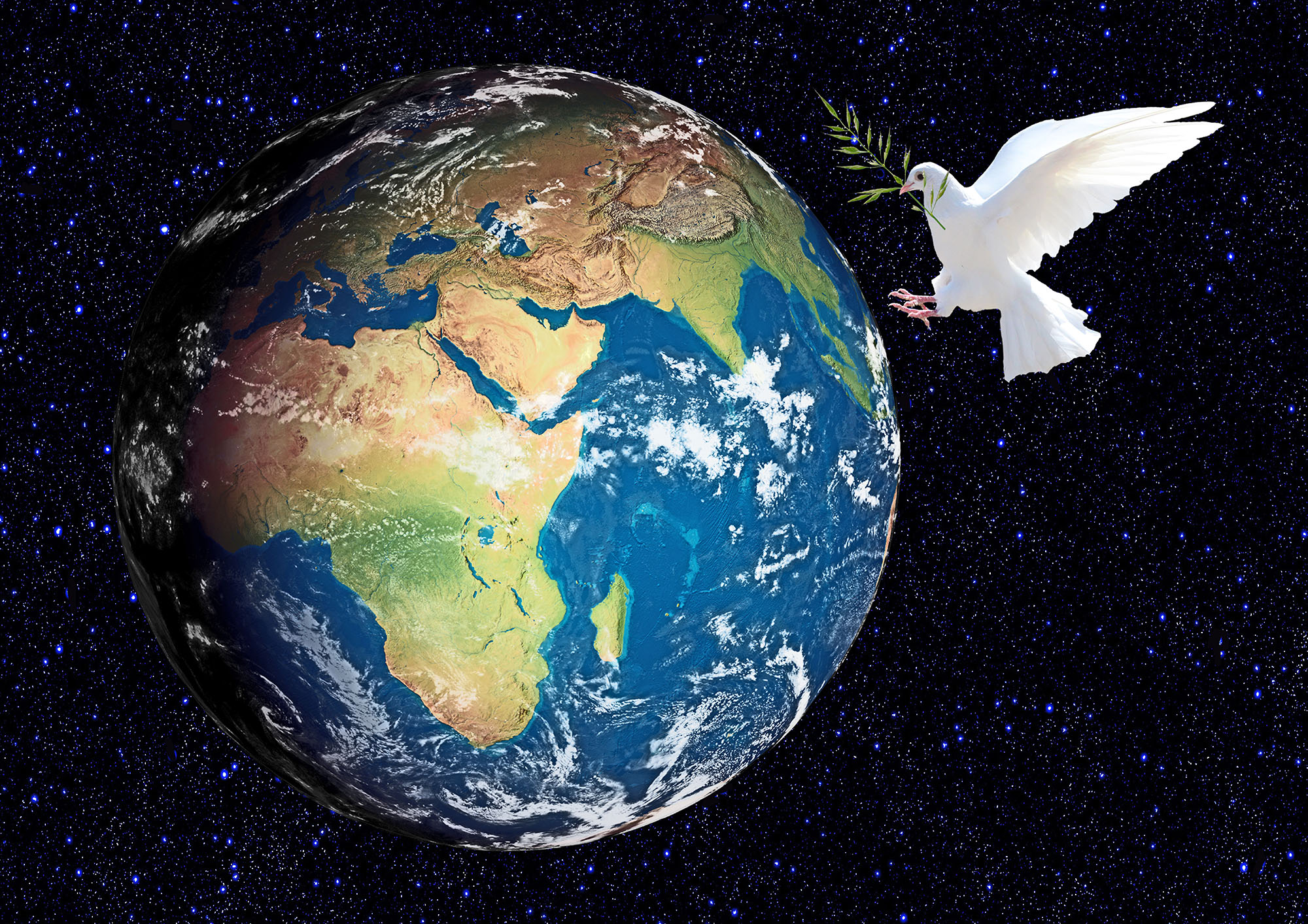 image of planet earth ion space with dove of peace about to land on it