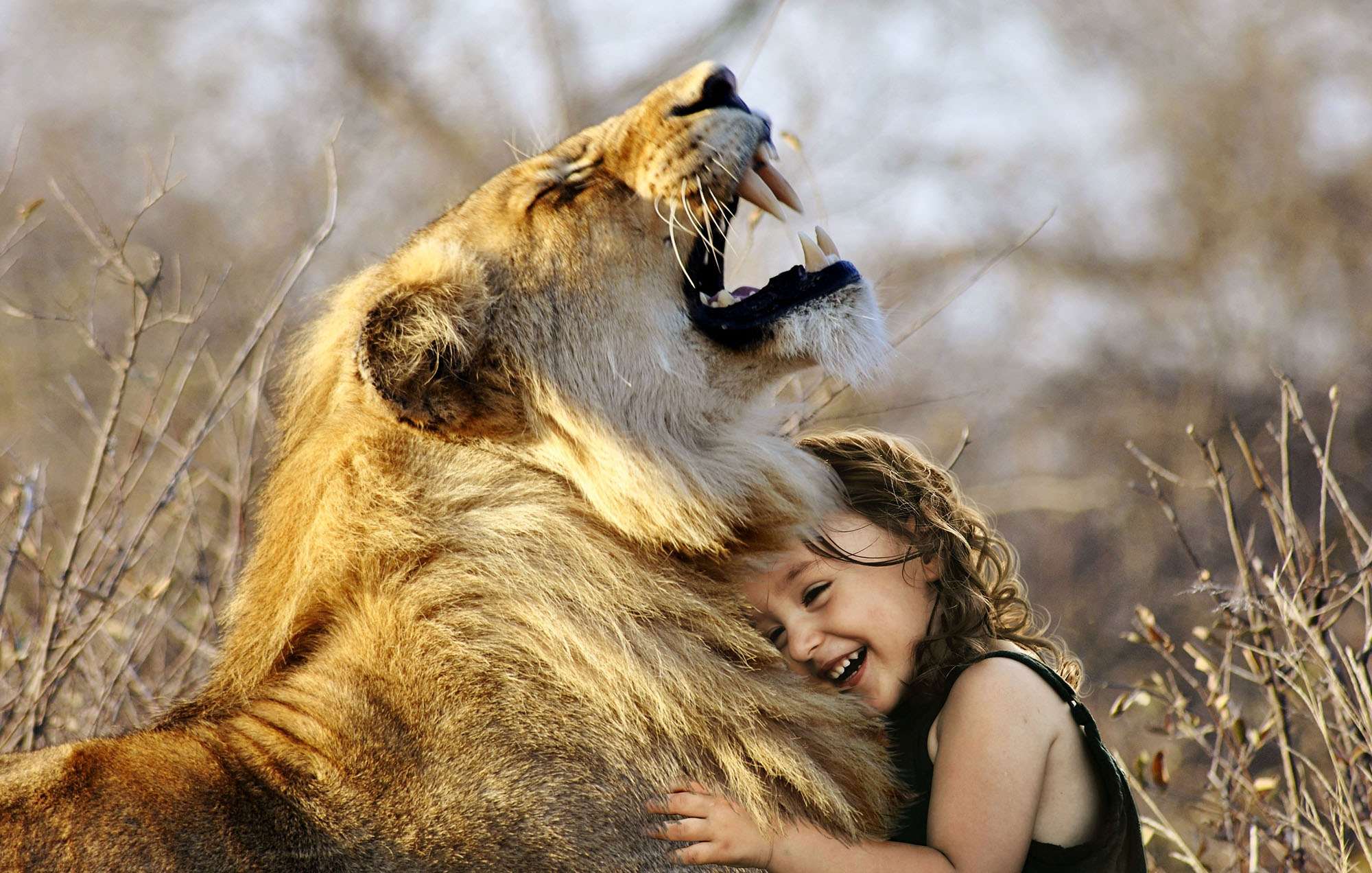 image of a friendly roaring lion and a smiling child embracing it