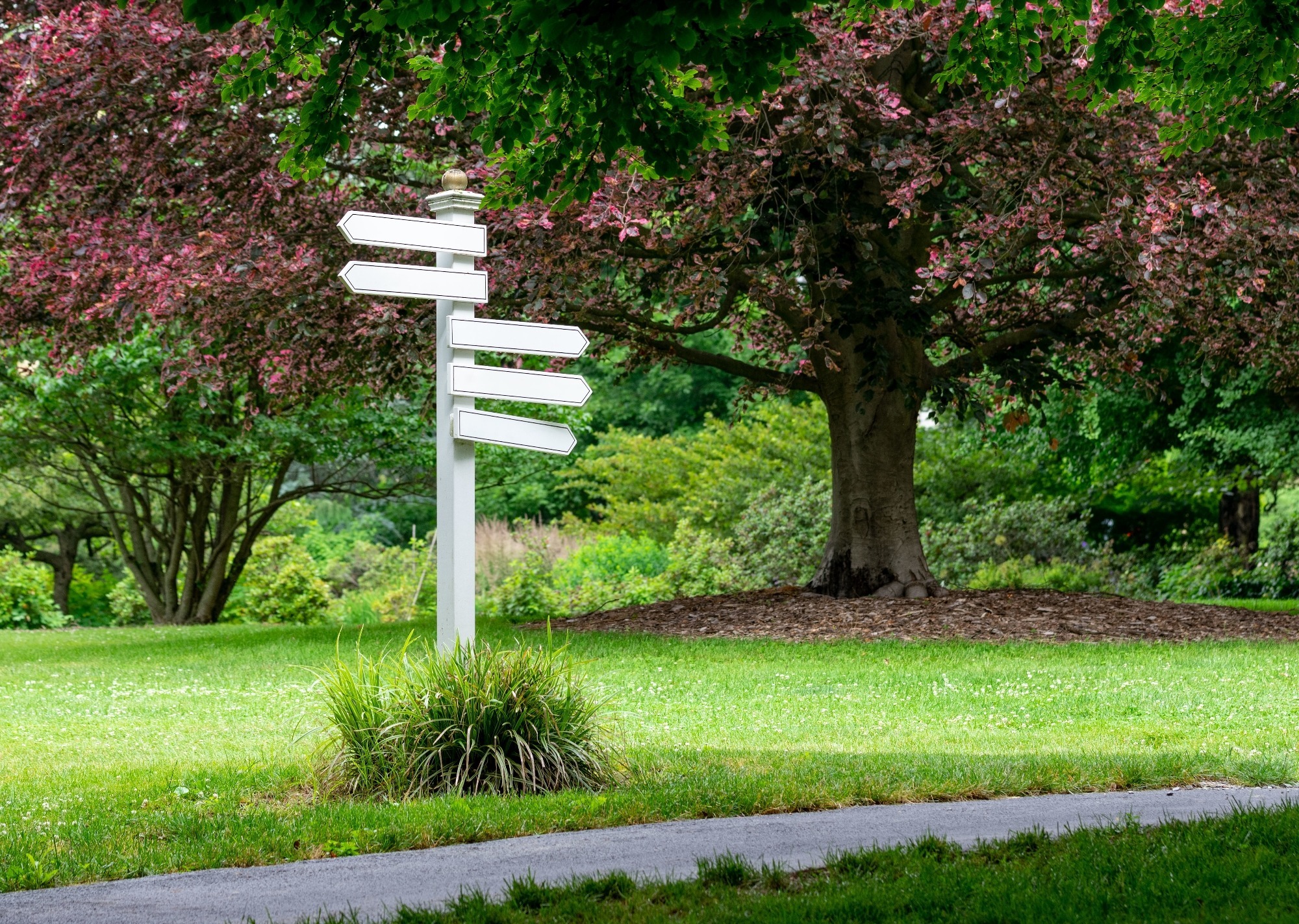 A white signpost with blank direction signs on it pointing in different directions