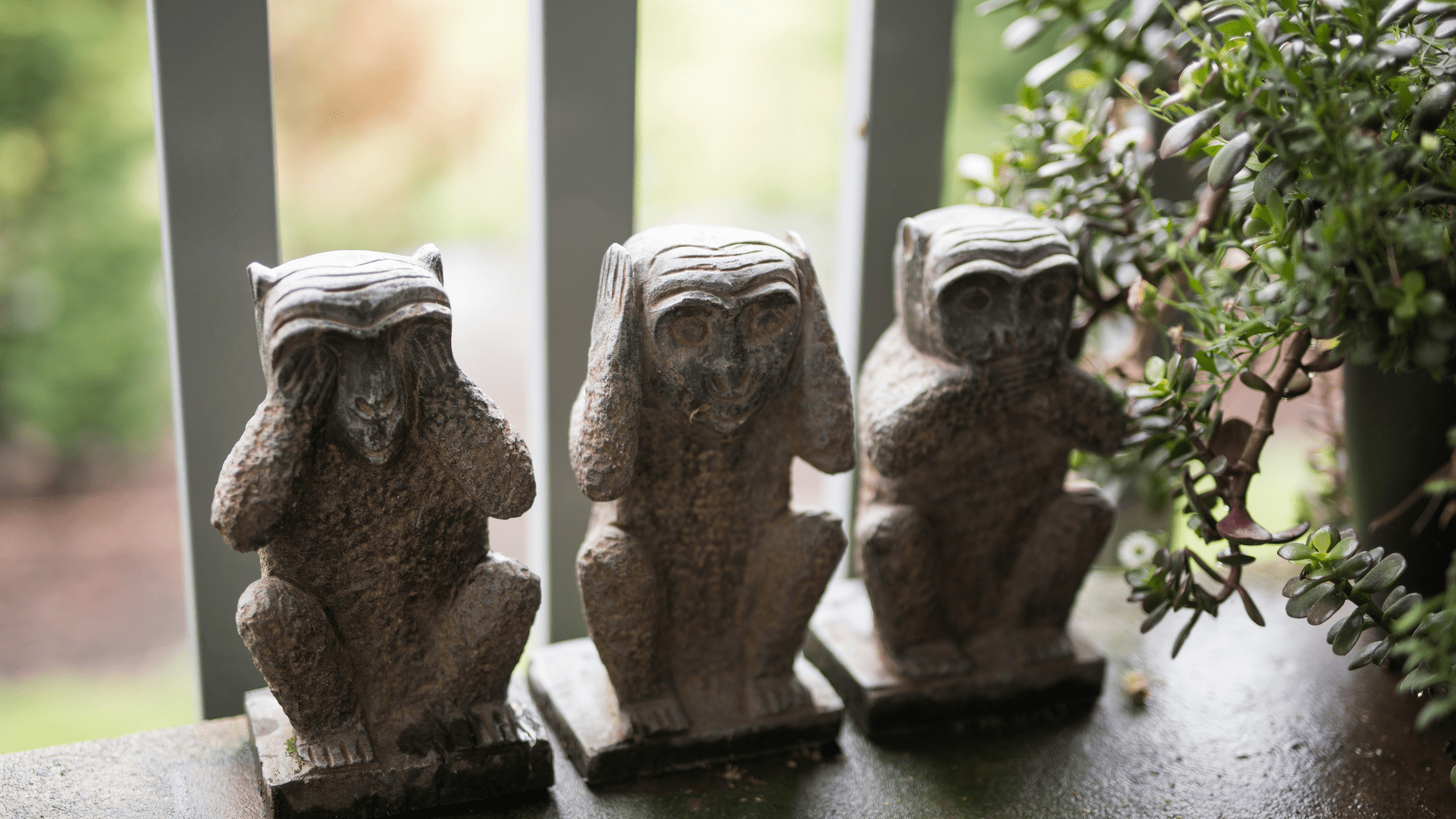 photo of three statuettes of monkeys one covering his mouth one covering his ears one covering his eyes