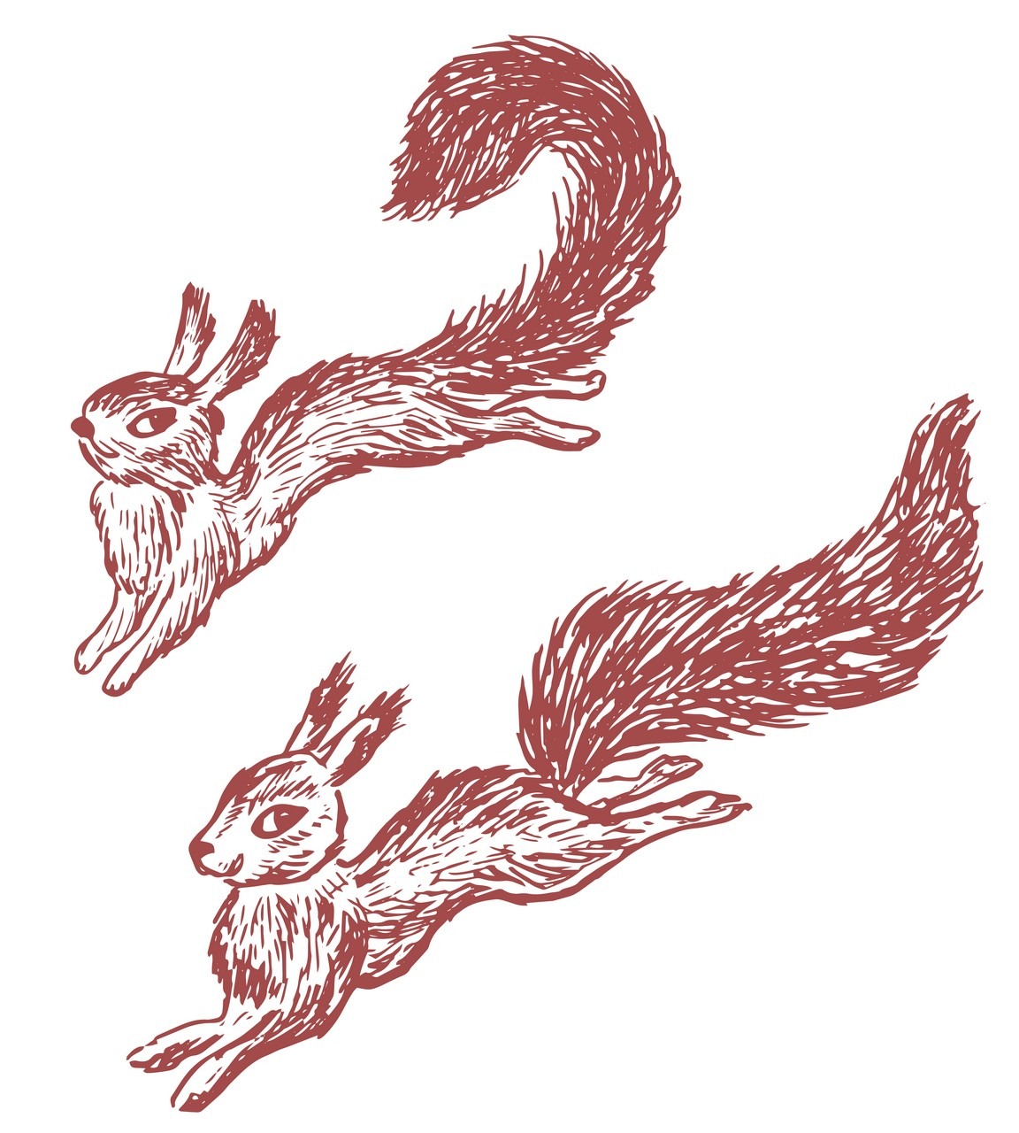 image of two hand drawn squirrels jumping