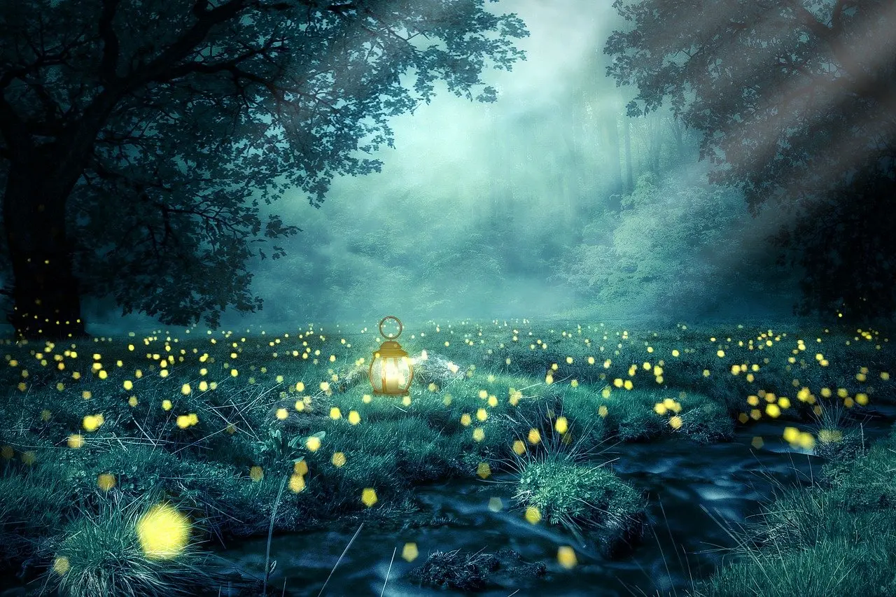 Photo of lighted glowworms in a forest clearing at night