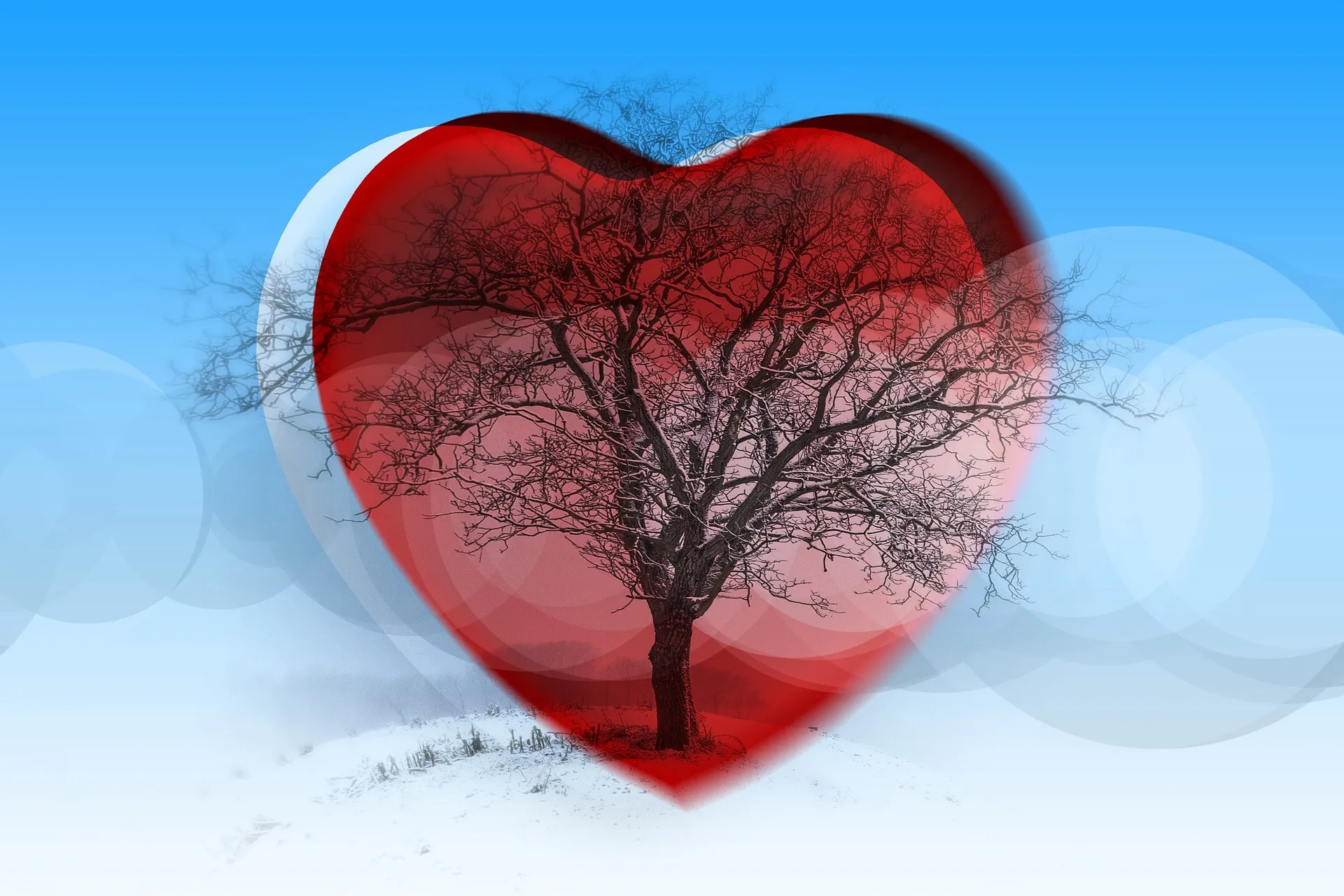 Picture of a tree inside a red heart shape, outside the heart shape a white, snowy landscape