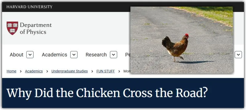 Image of a chicken on a road, walking and screenshot of the website of the Department of Physics of Harvard University