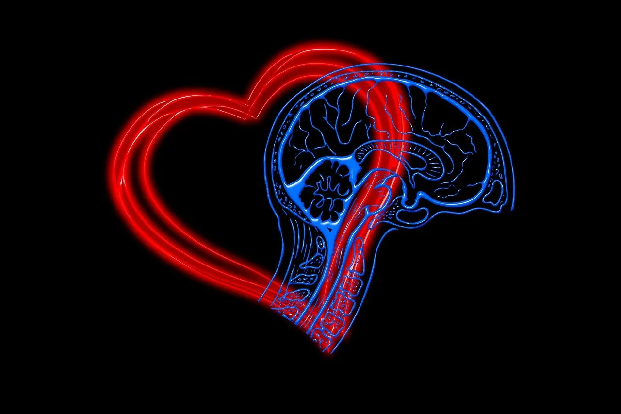 Image of a heart shape and a head and brain shape, in red and blue respectively, in front of a black background.