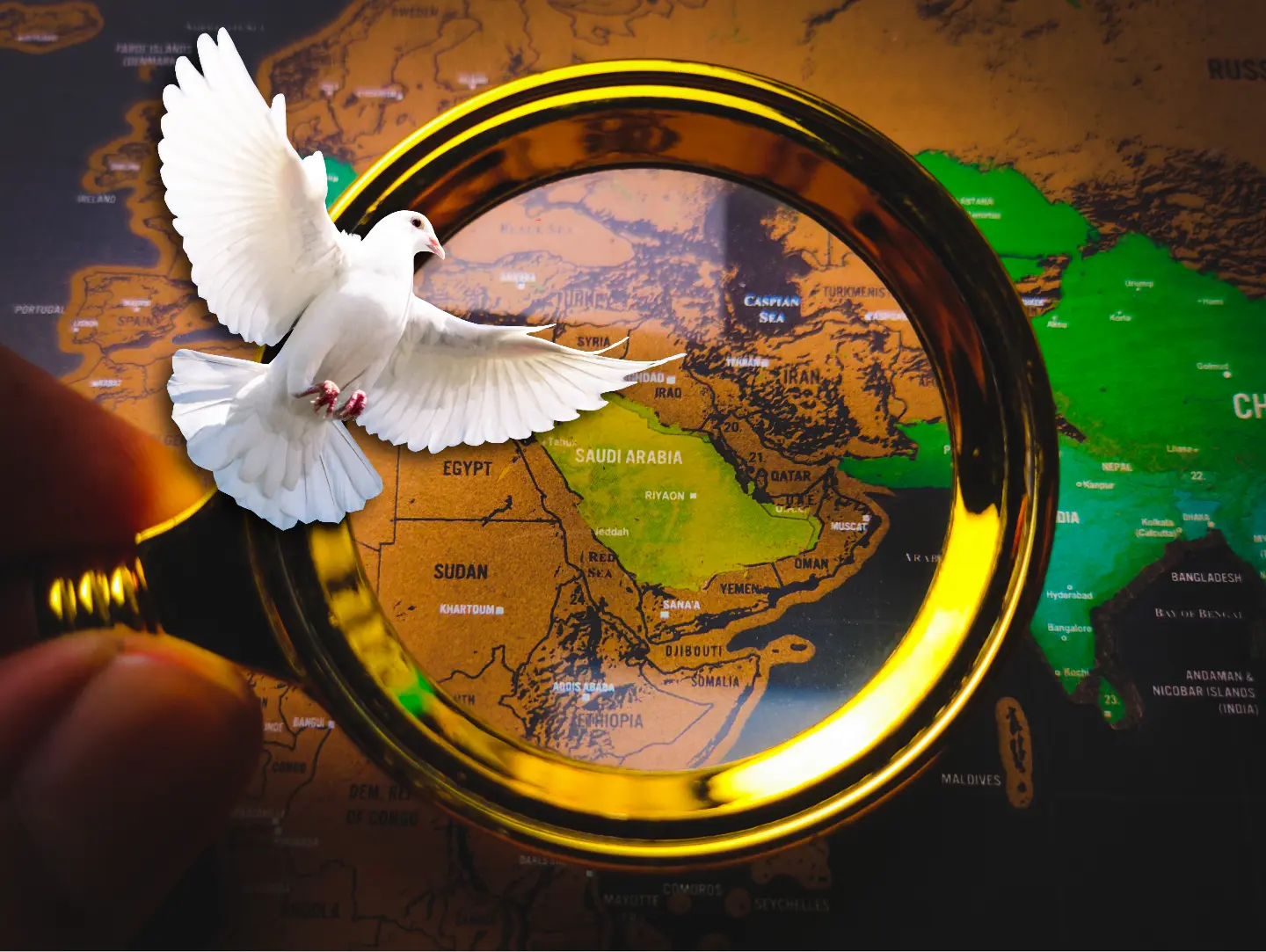 Map of the near east under a magnifying glass, with a dove of peace flying across