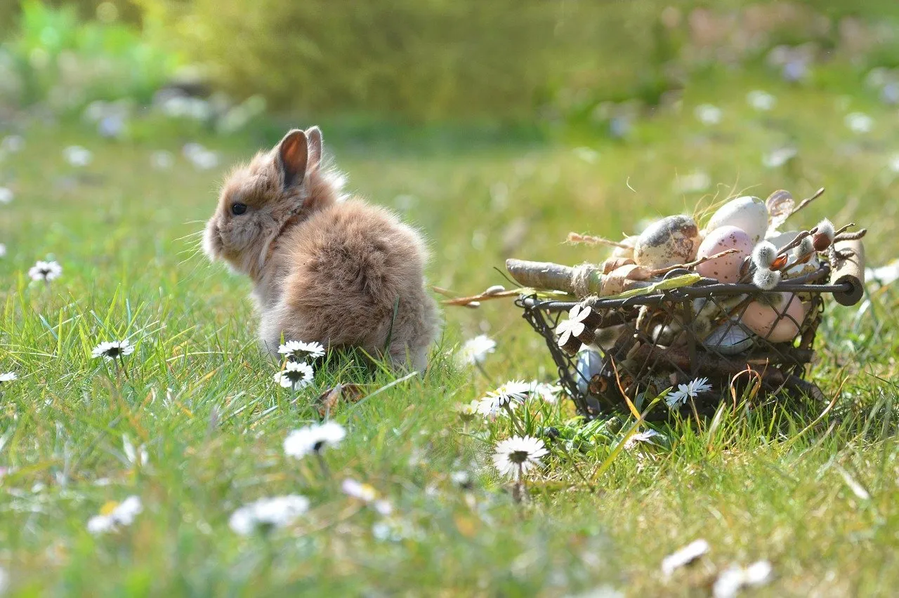 Frühlingswiese mit einem kleinen Hasen und einem Körbchen mit bunten Eiern darin.