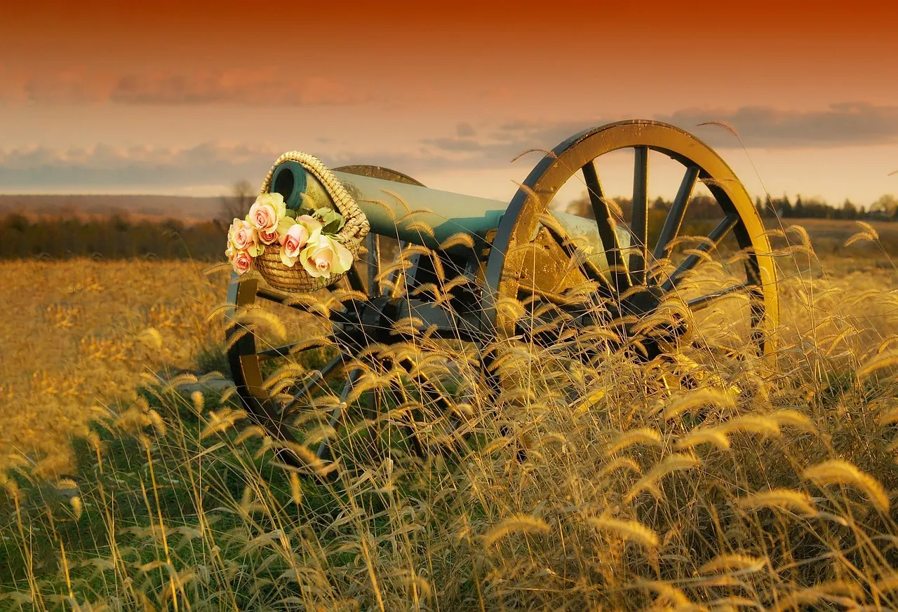 Ein Weizenfeld mit einer Kanone, im Sonnenuntergang, it einem Korb mit Blumen am Rohr.