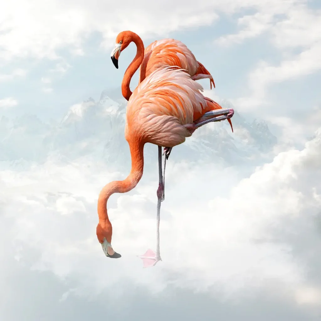 Bild von zwei Flamingos, die in einer Wolkenlandschaft zu schweben scheinen..