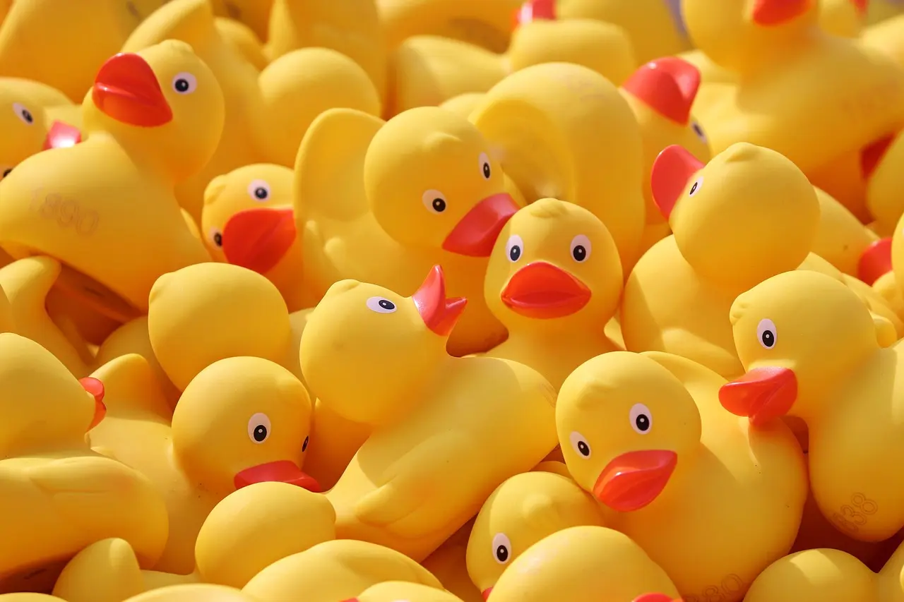 A 'duck meet', a heap of small ducks for the bathtub.