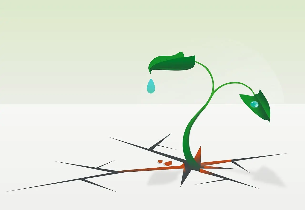 A twig fresh and green drawn as image growing on an apparently dry surface.